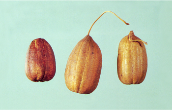 Arzneimitteltherapie